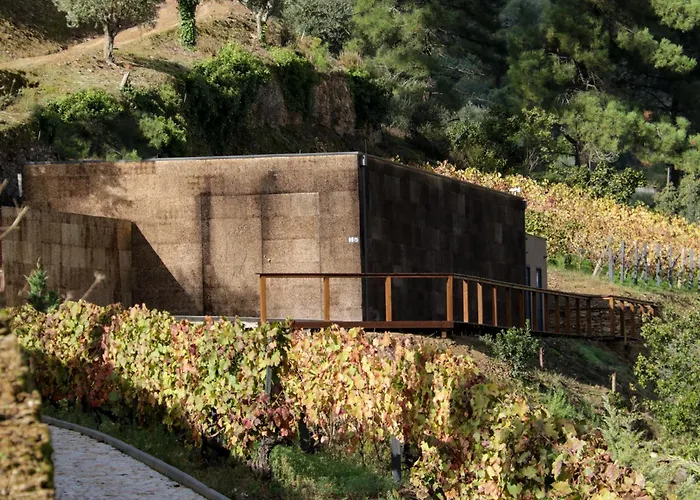 Dois Lagares House